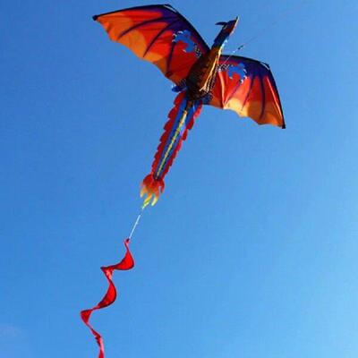 Colorful Kite Cute 3D Dragon Outdoor 100m Surf Flying Game
