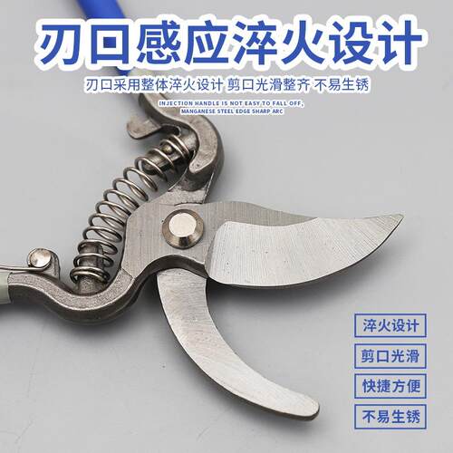 新款直销锻打修枝剪果枝剪果树剪粗枝剪园林剪园艺剪刀摘果剪修花
