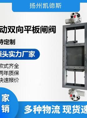 DLVd-0.1电动双向平板闸阀00x00插板阀电动闸门电动插板阀