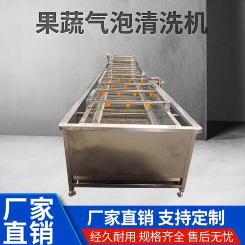 荠菜去泥沙气泡清洗机桃子荔枝树莓杏子圣女果压清洗设备