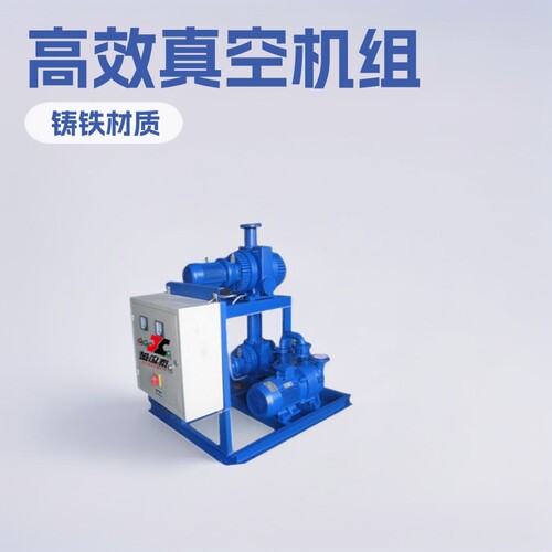 成都JZJ2S150-2水环真空机组ZJP150 罗茨增压泵2SK-3真空泵9.7KW