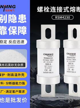 DC1000V/400A直流熔断器RS309充电桩专用直流熔断器RSM4230