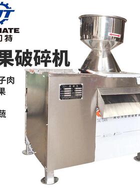 厂家直销商用椰肉粉碎机大型水果破碎机根茎类果蔬打浆打姜机