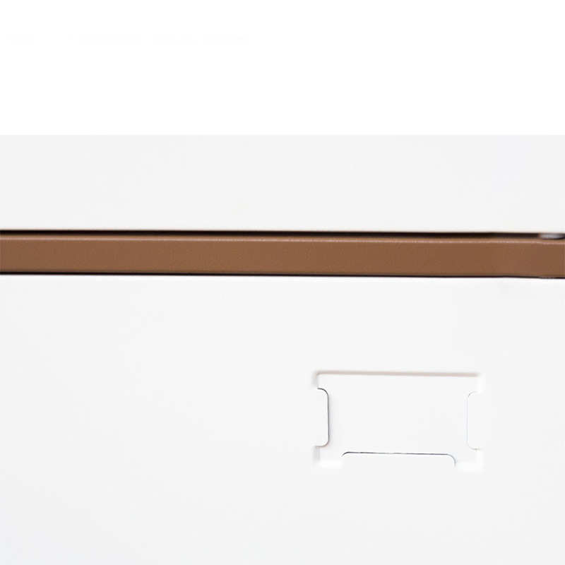 钢制彩色4物白员工储拆装洗浴公寓门咖宿舍更衣柜柜子学生