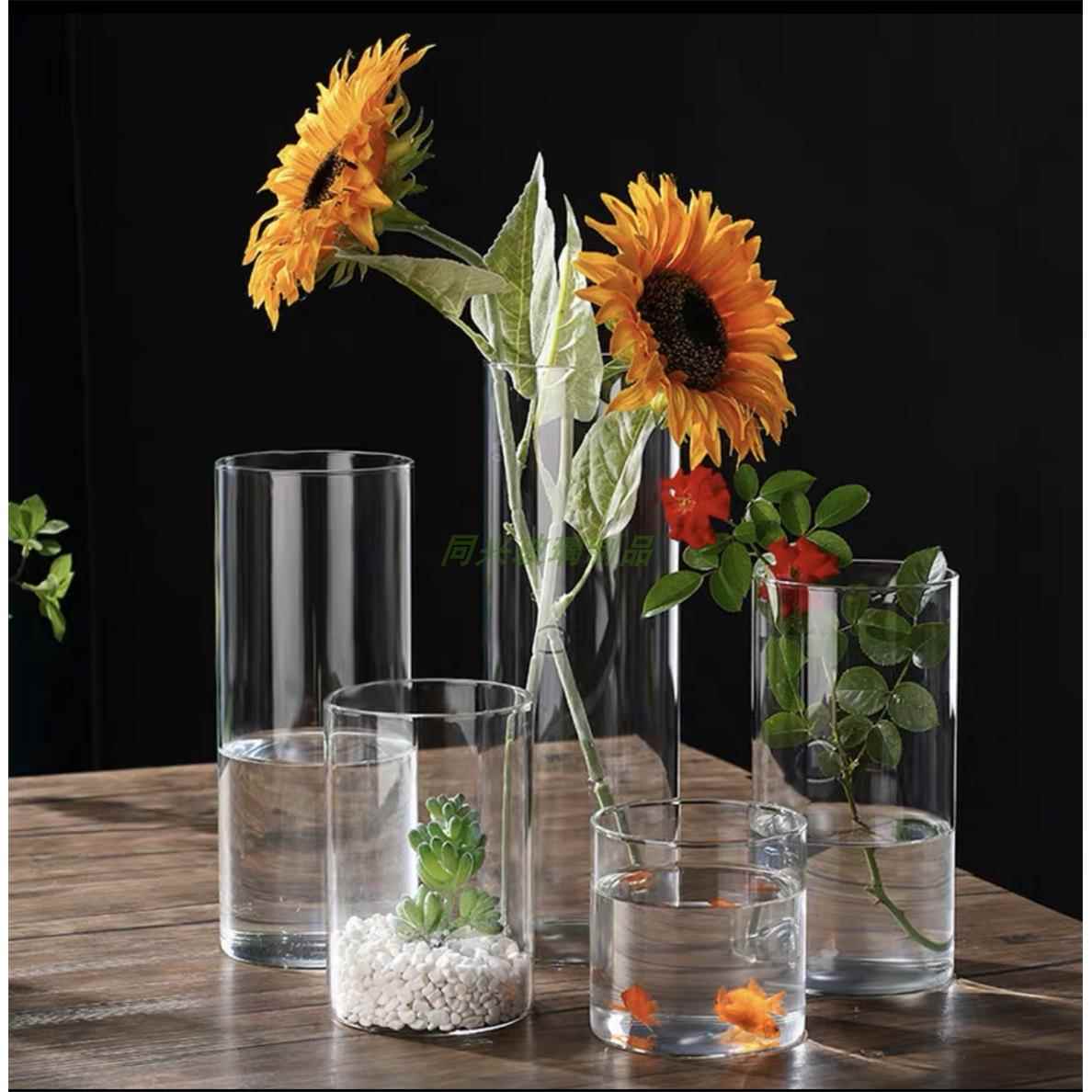 玻璃水培花盆高硼硅苔藓生态瓶植物瓶室内桌面小直筒艺术插花花瓶