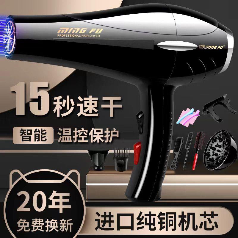 理发店专用吹风机大功率发廊强大风交流电机家用女仕电风吹负离子