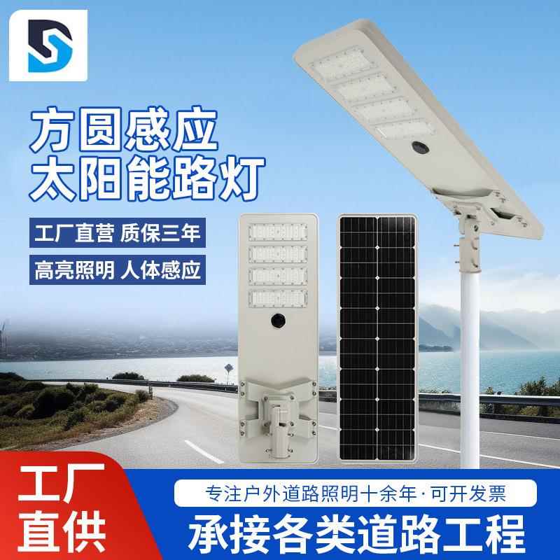 一体化路灯户外防水照明路灯新农村建设跨境灯