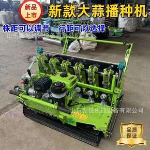 汽油手推4行大蒜点播机自走式 多行大蒜播种机8马力柴油种蒜机