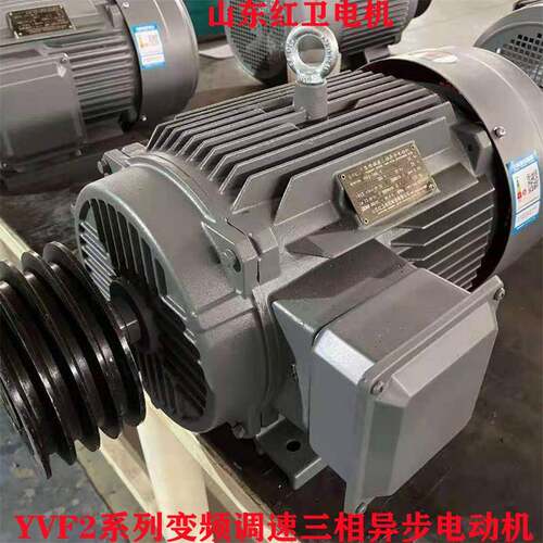 山东厂家直供YVF2-200L-6/22WYVF2系列变频调速三相异步电动机