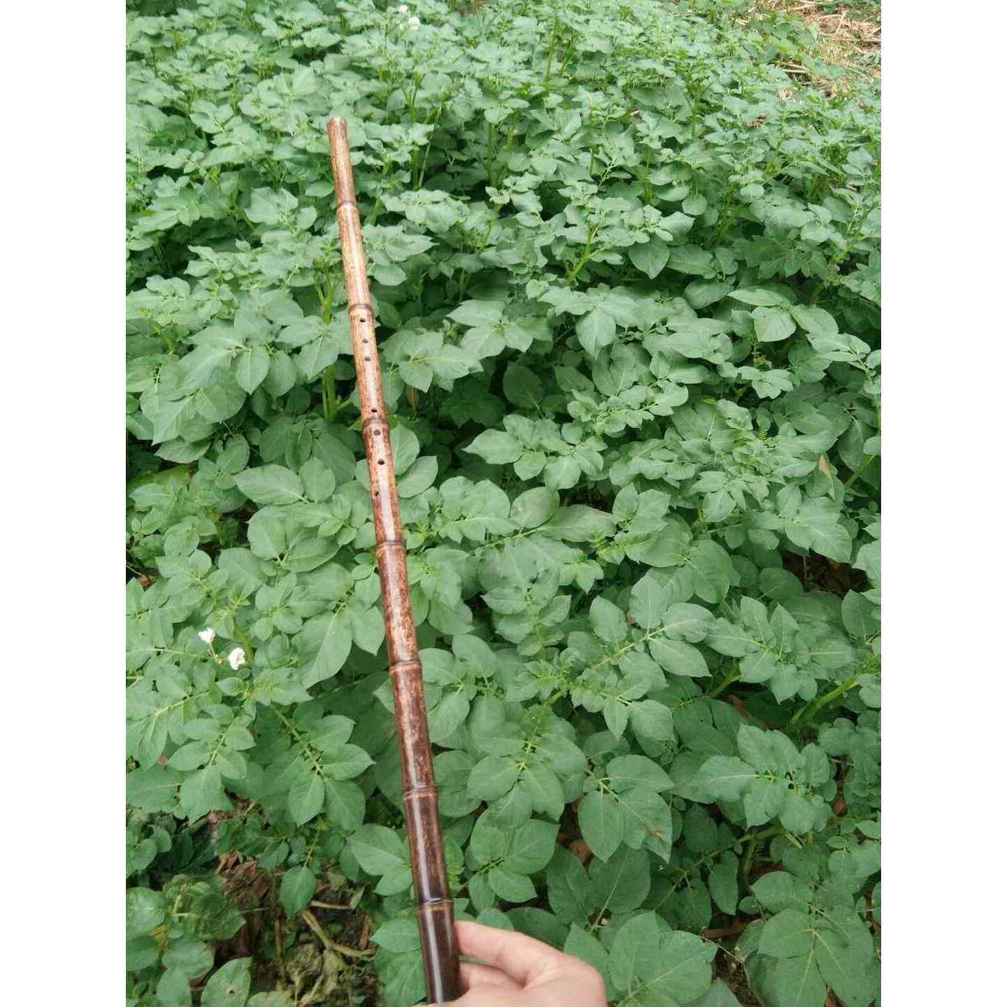 正品琴箫细箫g调调f箫管古典琴伴奏雅致雅