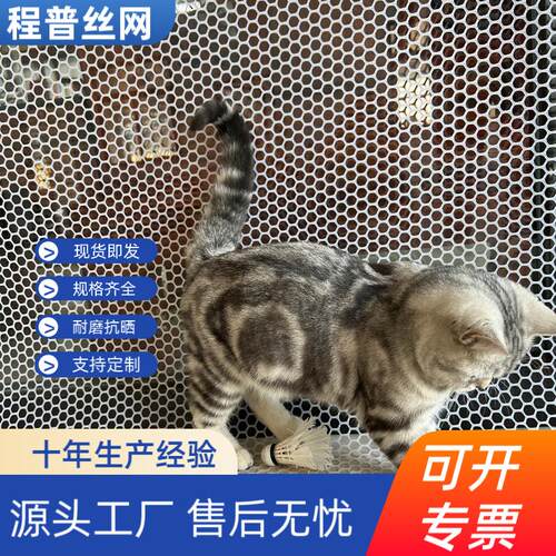 白色加厚塑料网阳台封窗垫网养殖网塑料兔笼脚垫塑料网格片塑料网