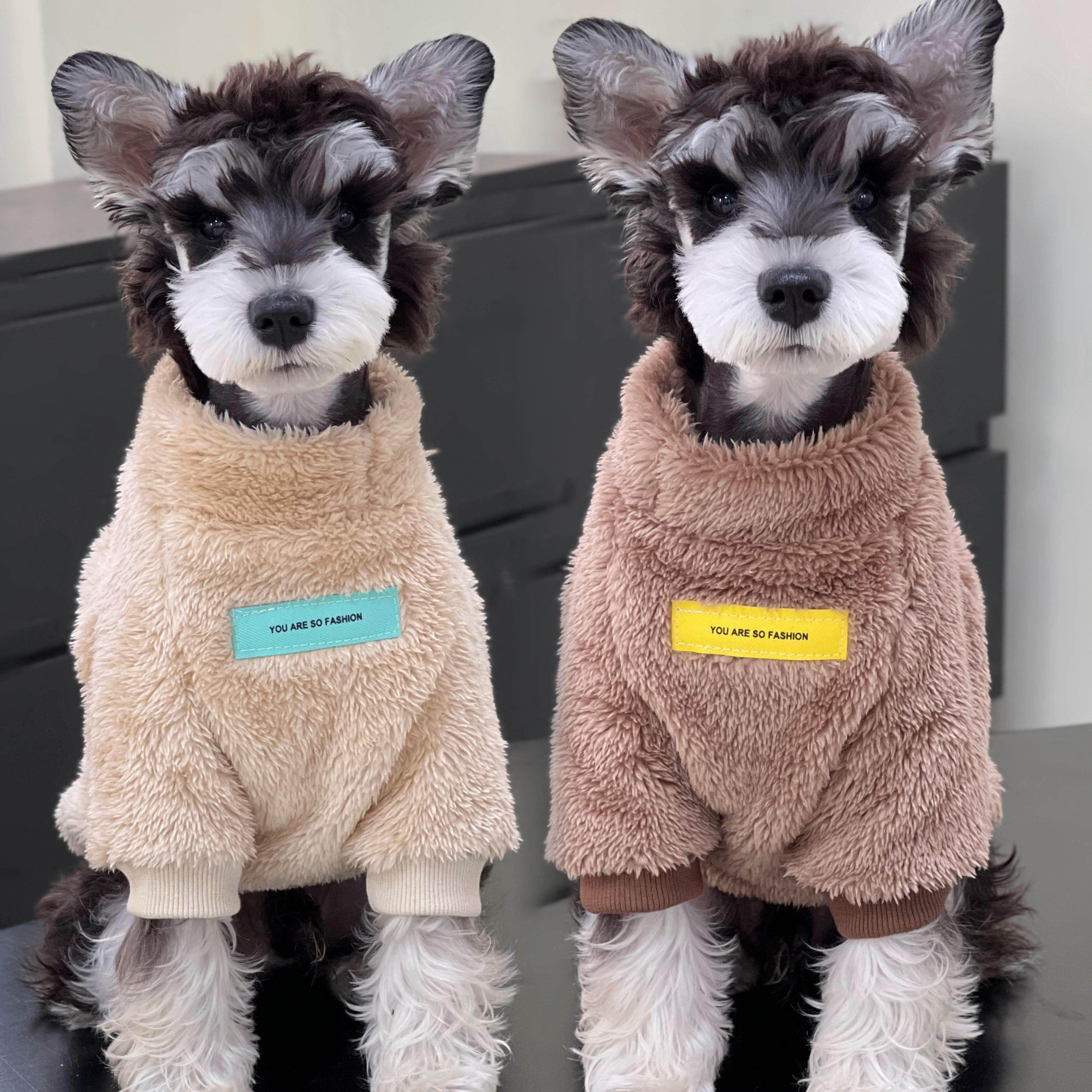 宠物猫狗衣服 秋冬珊瑚绒保暖立领卫衣 室内防掉毛中小大型犬