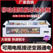 冷594藏展示柜三轮车移市摆摊冰柜小炸串台吃式 可动小型冰箱冷冻