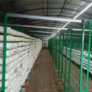 食用菌出菇网格架培菌架方舱出菇架子蘑菇种植架