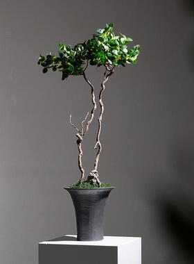 中式日式小原流花道插花仿真树绿植盆景壁龛玄关茶室茶道民宿装饰