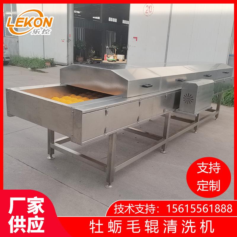 毛辊清洗机地藕清洗设备全自动果蔬清洗机土豆魔芋清洗机