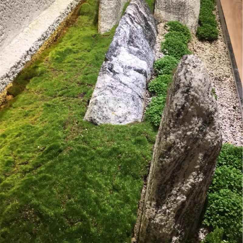 仿真青苔仿生苔藓人造草坪室内造景假草皮庭院青苔绿植布置装饰