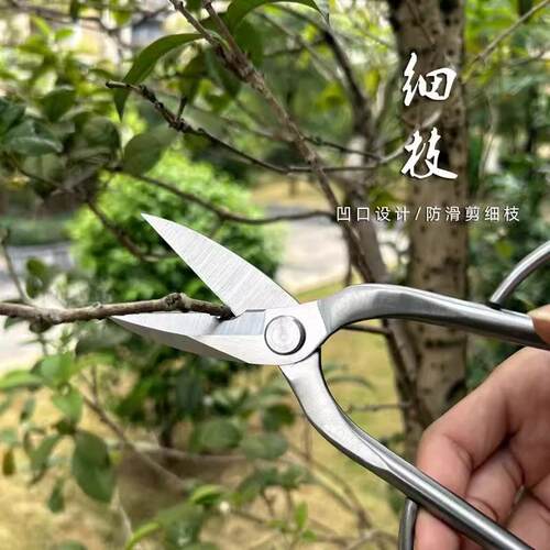 现货全钢园艺剪修枝芽花专用剪家用花卉盆景剪修枝剪叶芽剪园林剪