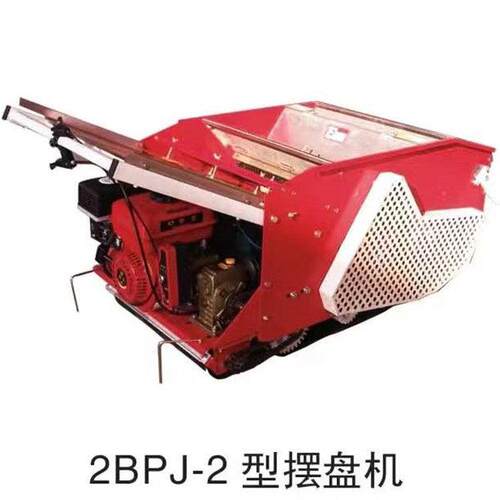 水稻底土播种摆盘机 水稻育秧自走式水稻播种机水稻育苗摆盘机