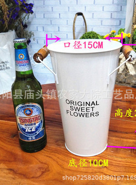 鲜花鲜花养花干花花盆装饰摆件