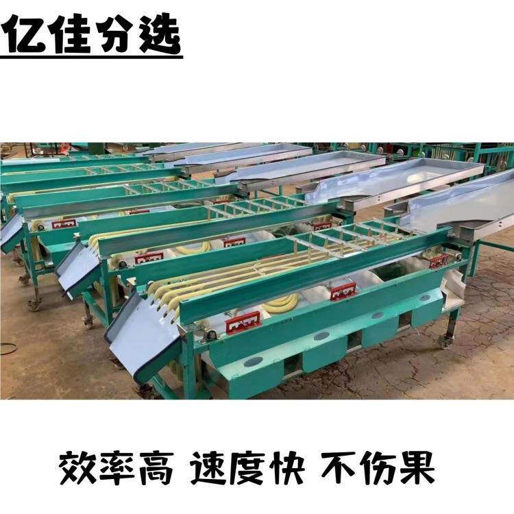 家用皇帝柑选果机 桂圆分级机 桃子分选机 槟郎分选设备 不伤果