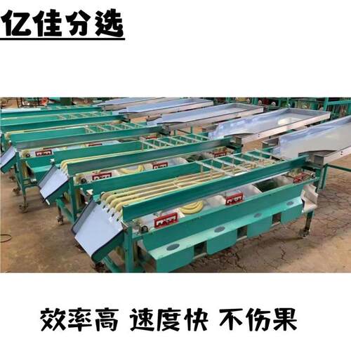 牛油果选果机 柠檬分级机 核桃分选机器 商用皮带水果分选机