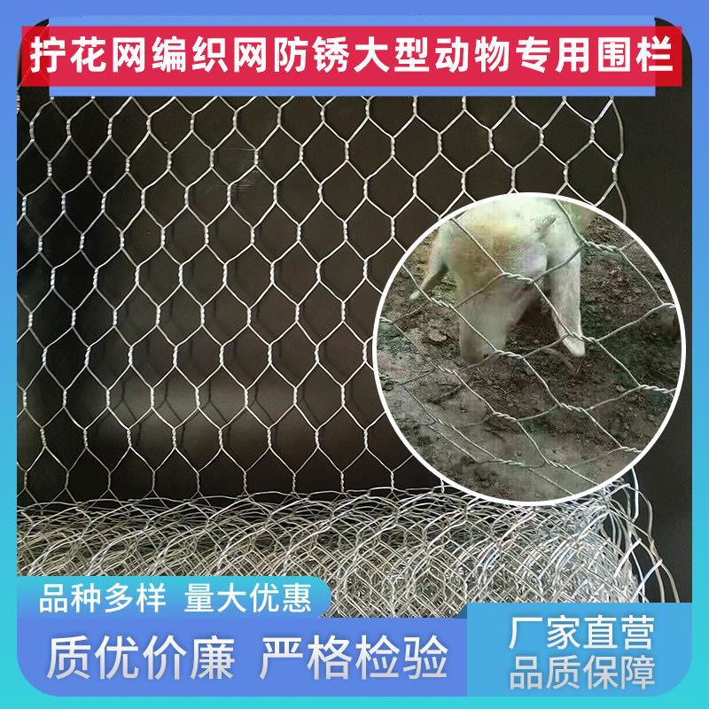 防锈铁丝网编织养殖网拧花网圈猪牛羊围栏网六角网加硬加粗防护网