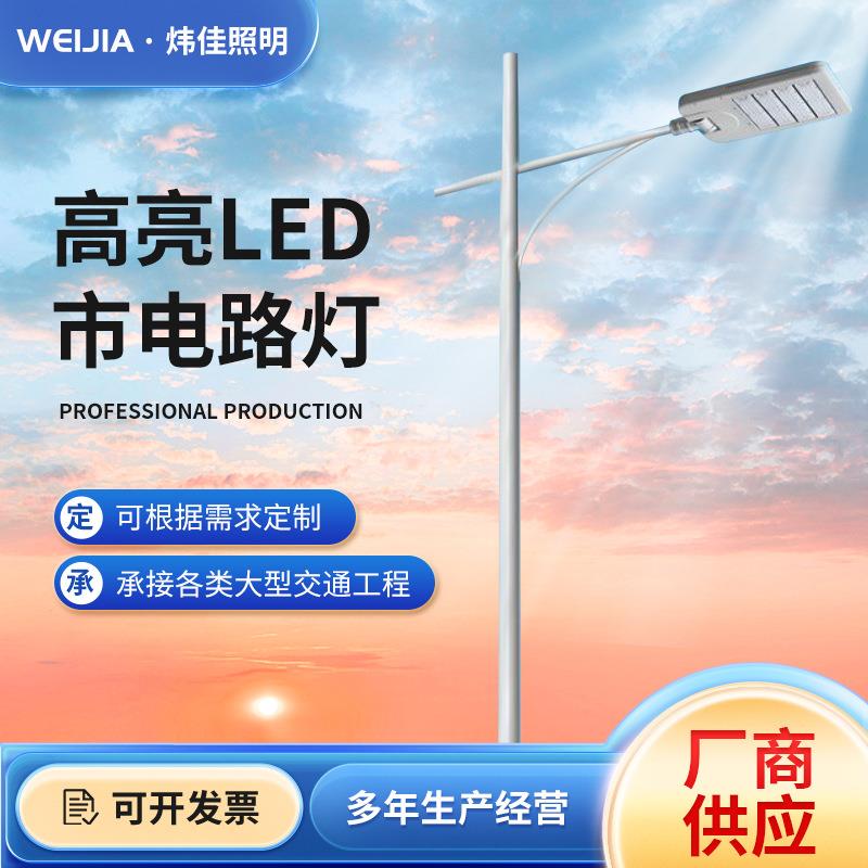 防水户外市电路灯LED防雷灯杆道路灯具/智慧路灯/
