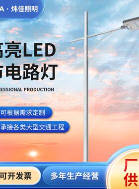 防水户外市电路灯LED防雷灯杆头4米5米6米7米A字自弯海螺臂马路灯