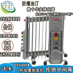 127煤矿井上用防爆油汀 矿用取暖器隔爆本安型RB2000