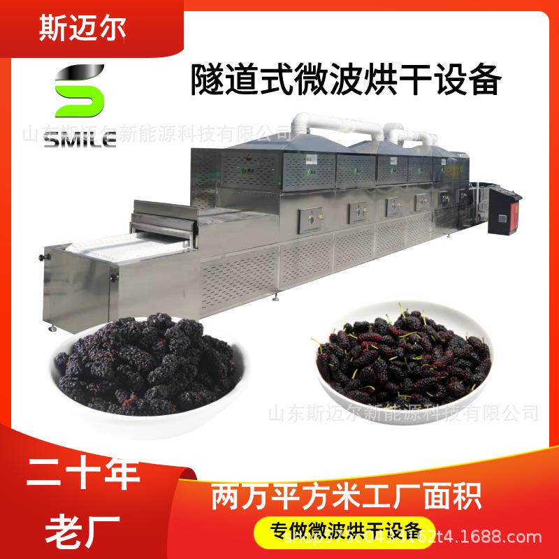 桑葚微波烘干设备水果干燥熟化果茶材料干燥微波杀菌机