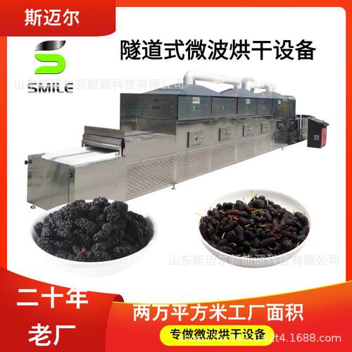 桑葚微波烘干设备水果干燥熟化果茶材料干燥微波杀菌机