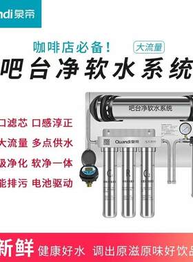 咖啡奶茶吧台直饮不锈钢304净水器1000L大流量过滤前置净水机