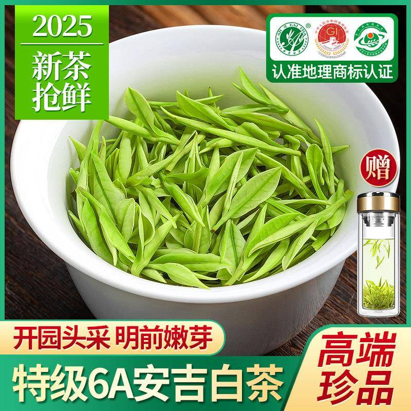 珍品安吉白茶2025新茶特级绿茶明前春茶头采芽白茶散装茶叶礼盒装