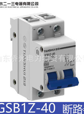 厂家直销TIANSHUI213 DZX2-40DC 2P6A10A16A20A小型直流断路器GSB