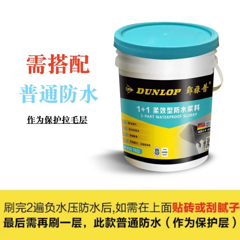 德国邓禄普地下室负水压专用防水膜背水面抗渗防潮防霉涂料ab组份