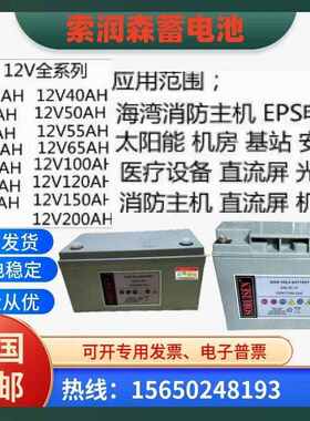 索润森蓄电池SAL12-100/12V24A38A40A65A100A120A消防机房/配电室