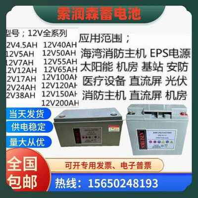 索润森蓄电池SAL12-100/12V24A38A40A65A100A120A消防机房/配电室
