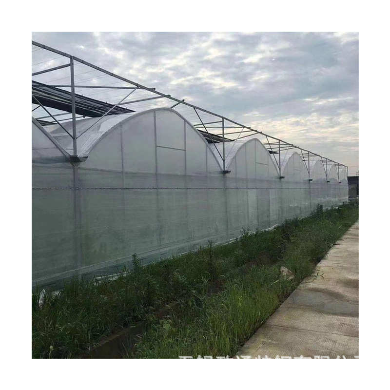厂家批发玻璃温室大棚 大棚骨架草莓番茄大棚塑料薄膜连栋温室大