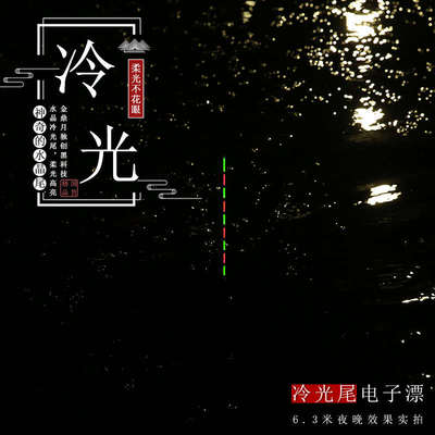 金鼎月流氓电子漂日夜两用电子夜光浮漂加长行程深水矶钓滑漂60CM