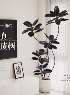 彷真绿色植物盆栽高端轻奢大型橡皮树彷生假植物客厅室内装饰落地