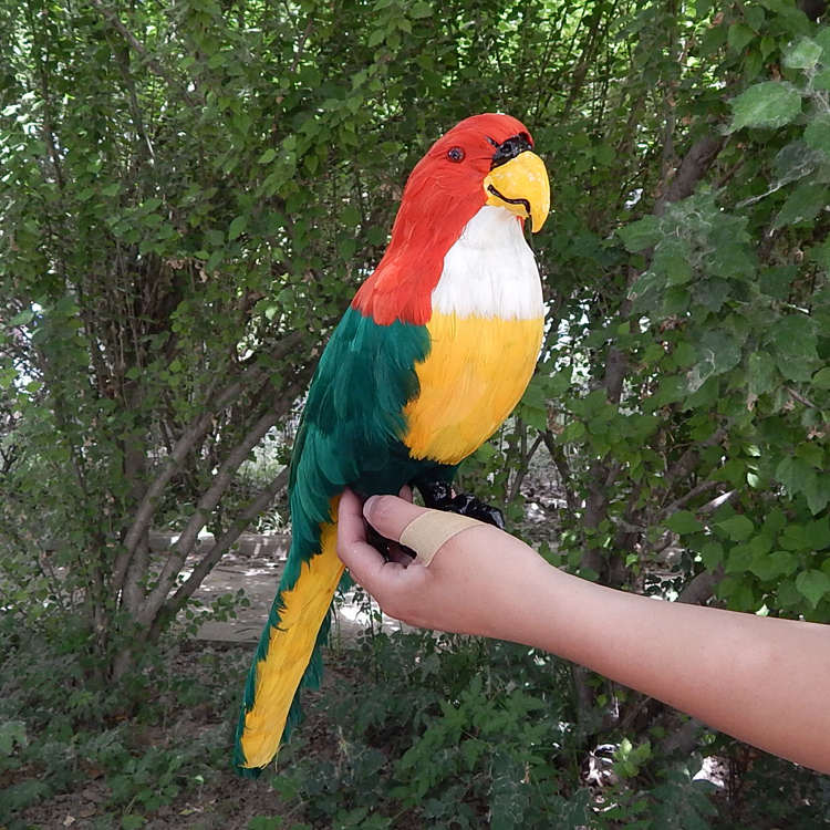 仿真鸟类真羽毛彩色鹦鹉模型道具摆件假小鸟玩具动物装饰玩偶挂件