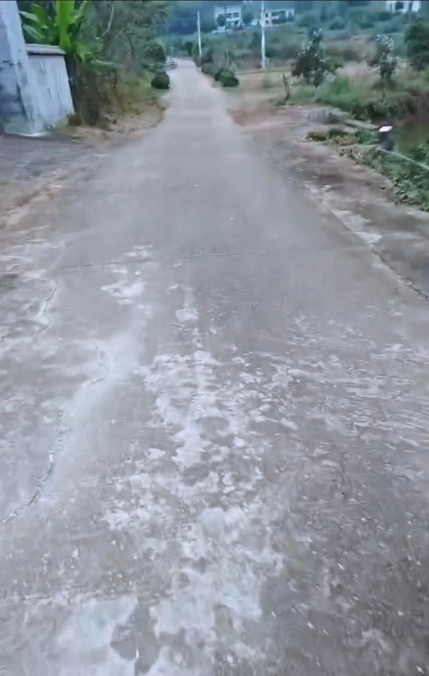 底价流转长沙市望城区芙蓉北路靠山有水的林地