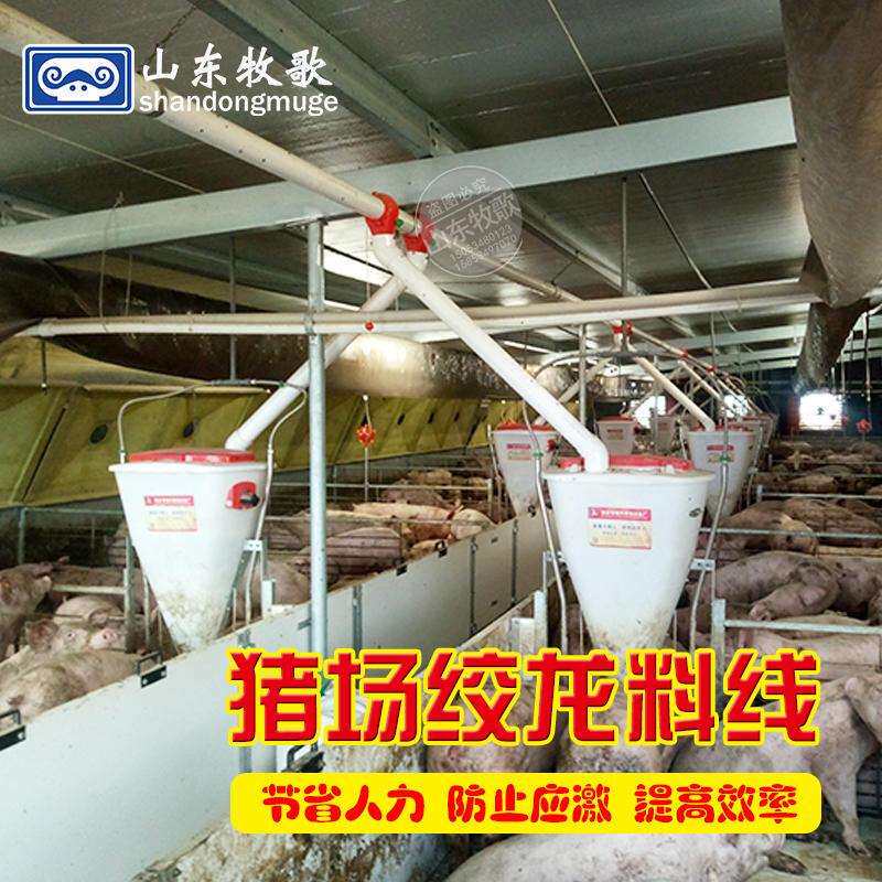 猪场自动化上料系统塞盘蛟龙是送料线自动化输料系统全自动料线