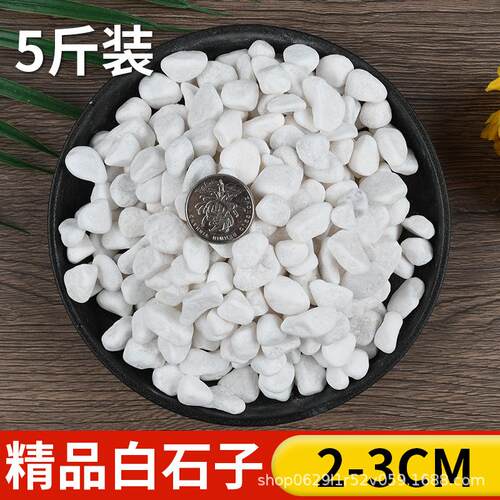 石子多鹅卵石盆栽铺面栽培基质