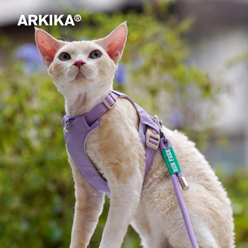 猫咪牵引绳防挣脱外出背心式工字型溜小幼猫绳遛猫