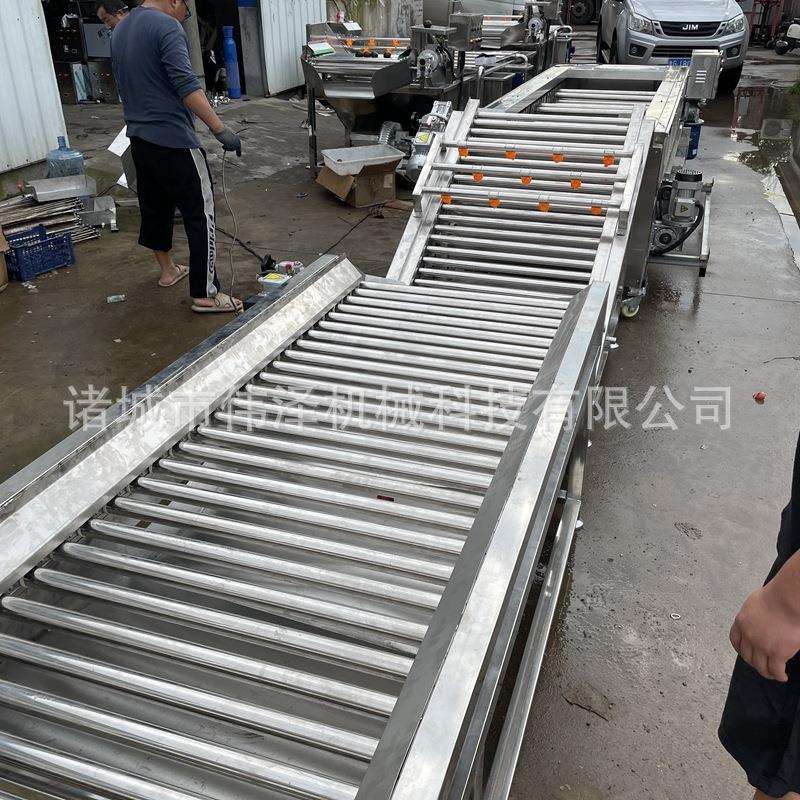 喷淋式粽叶果蔬气泡清洗机桑葚蓝莓去农残大型清洗机气泡式