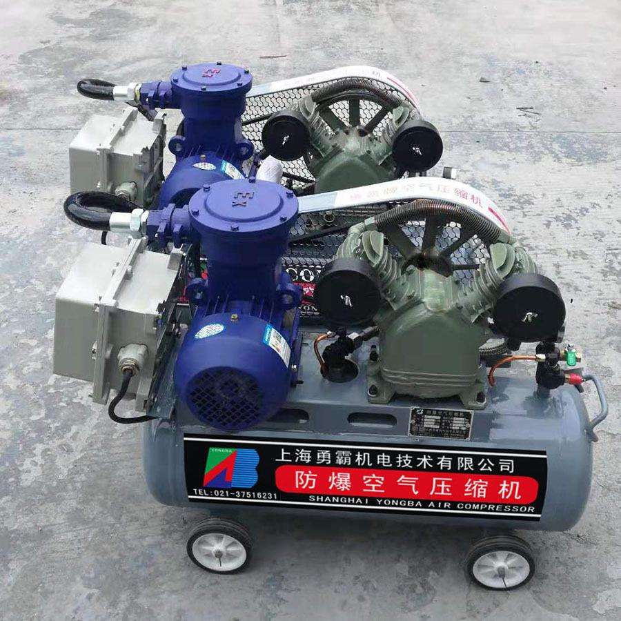 上海勇霸供应5.5KW空压机专注防爆空气压缩机价格美品质优