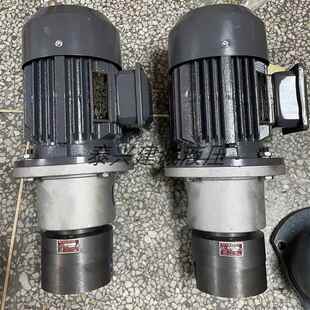 25颗粒机减速机油泵NGWB B16 SXCB B10 16双向齿轮泵SXCB