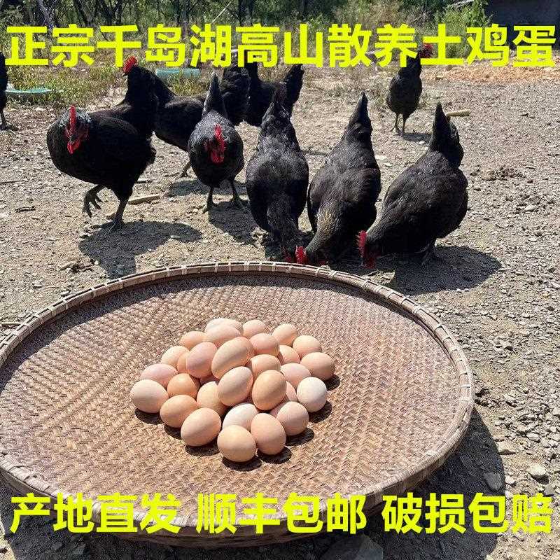 土鸡蛋柴鸡蛋正宗千岛湖高山农家散养新鲜草鸡蛋笨鸡蛋虫草蛋整箱